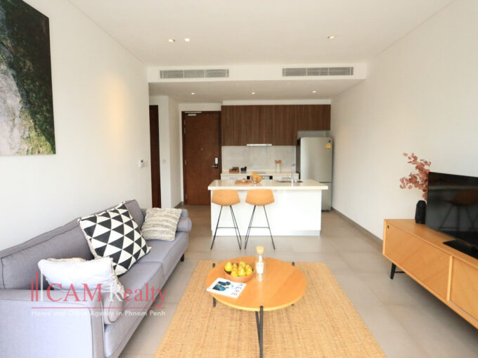 apartment for rent in BKK1 area Phnom Penh_N273168