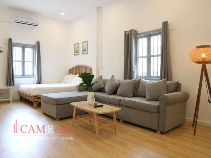 Apartments for rent in BKK1 area Phnom Penh_N2117168